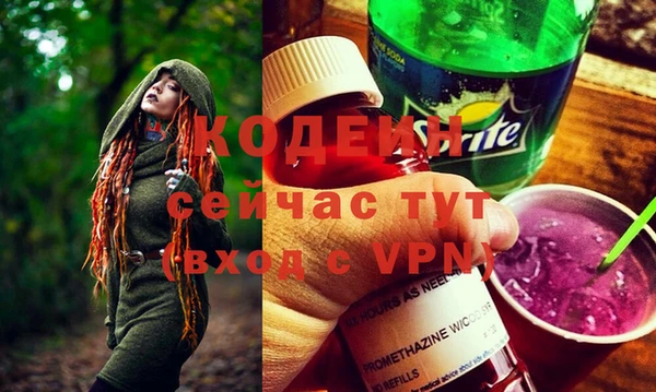 индика Абаза