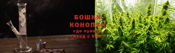 PSILOCYBIN Абдулино