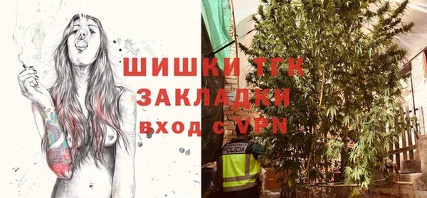 индика Абаза