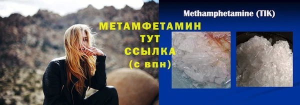 индика Абаза