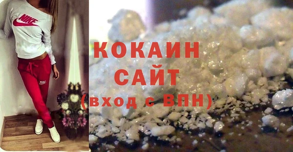 индика Абаза