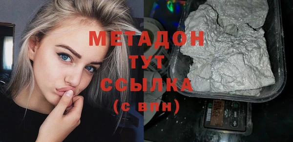 индика Абаза