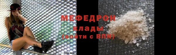 индика Абаза
